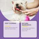 Probiotic Toothpaste for Pets