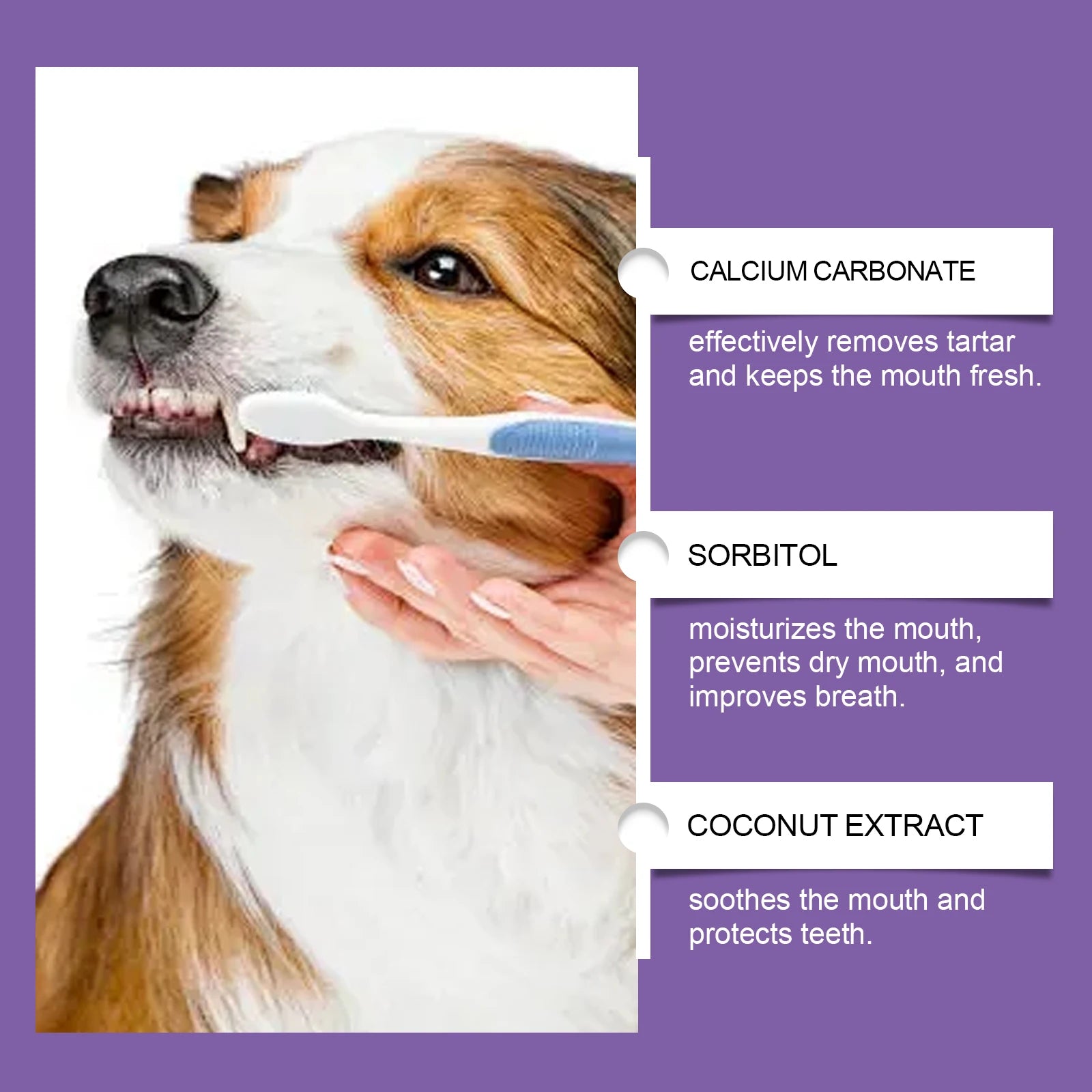 Probiotic Toothpaste for Pets