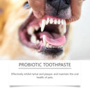 Probiotic Toothpaste for Pets