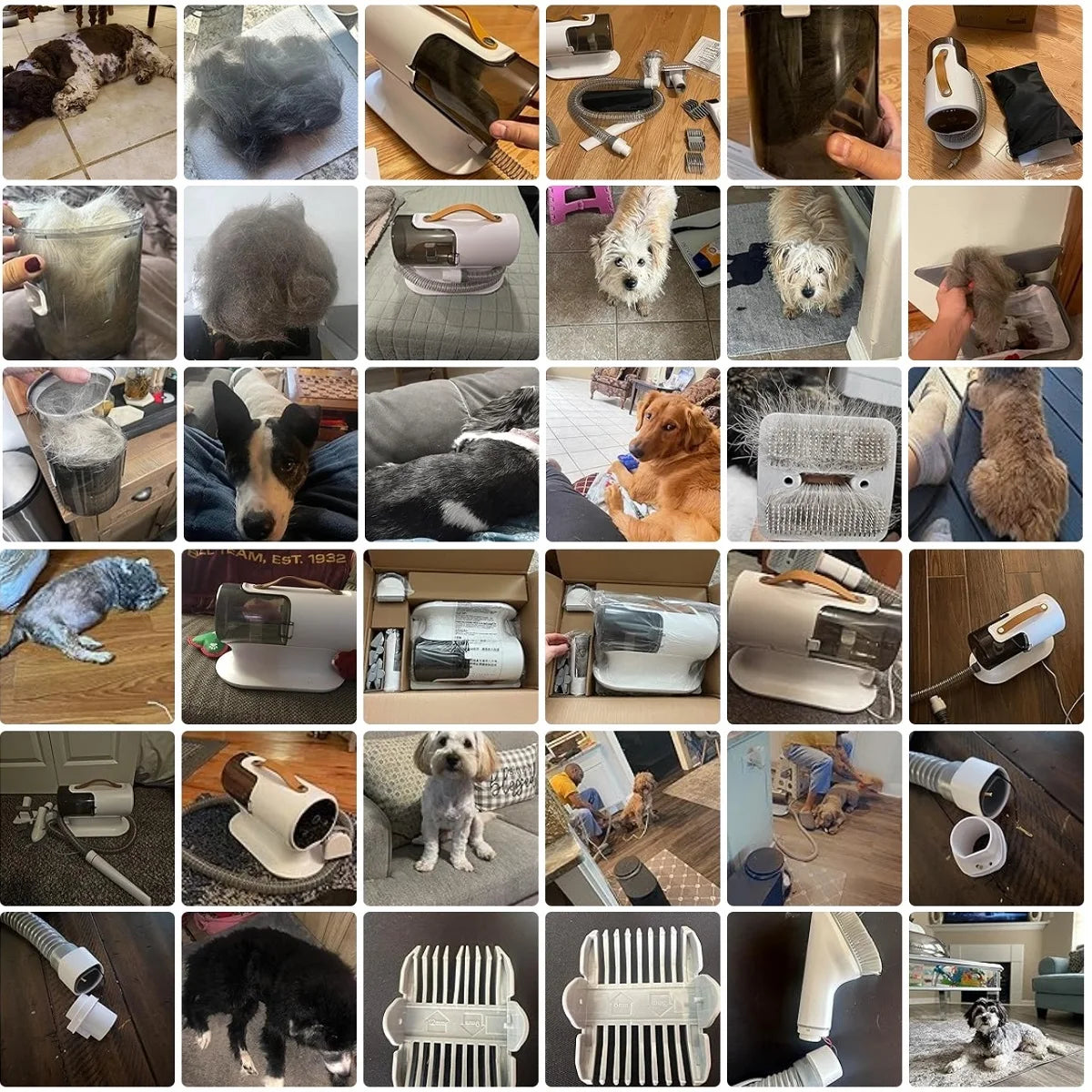 Pet Grooming Kits